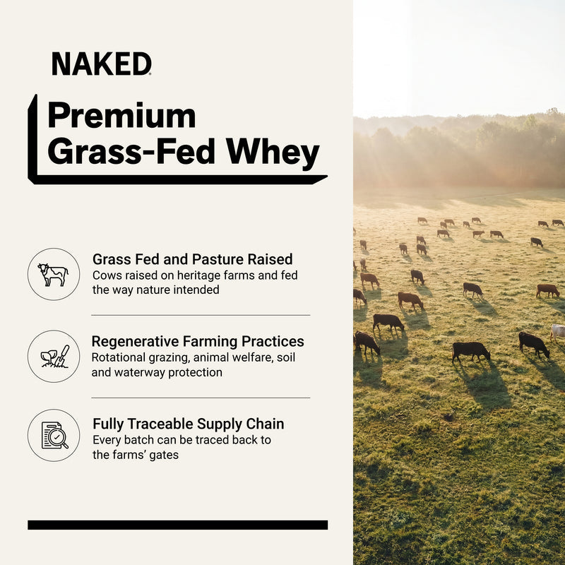 Vanilla Whey Protein Powder 1lb - Vanilla